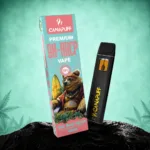 Wholesale 9H-HHCP Vape Big Bad Bear 99% 1ml