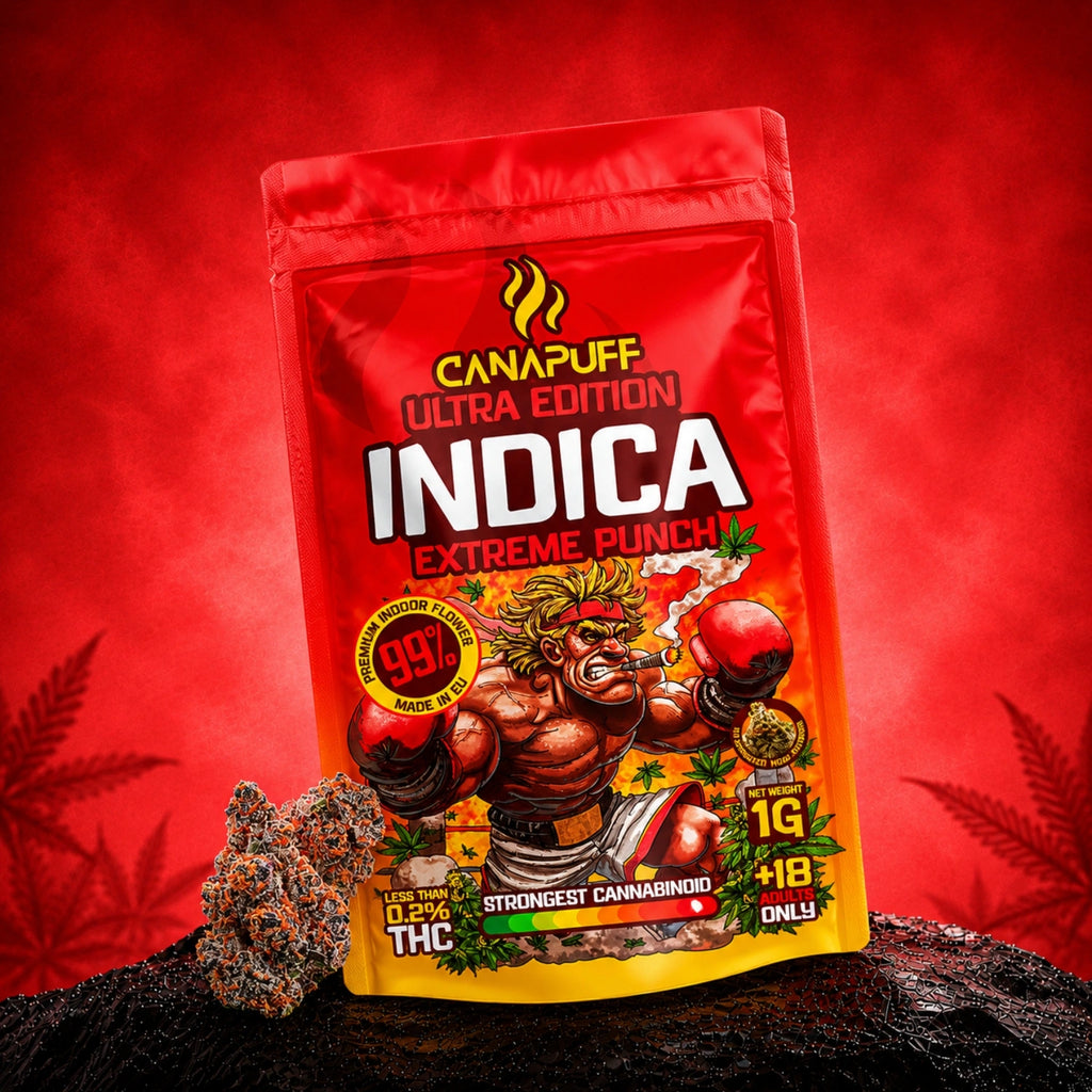 Fiori Indica all'ingrosso Extreme Punch Ultra Edition 99% Fiori Indica all'ingrosso Extreme Punch Ultra Edition 99%