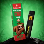 Venta al por mayor de Rest 95% CBD - Canapuff - Vape - 1 ml
