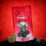 Wholesale THCv Flowers Berry Gelato 50%