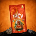 Großhandel mit THCv-Blüten „Sniker Doodle“ 69%